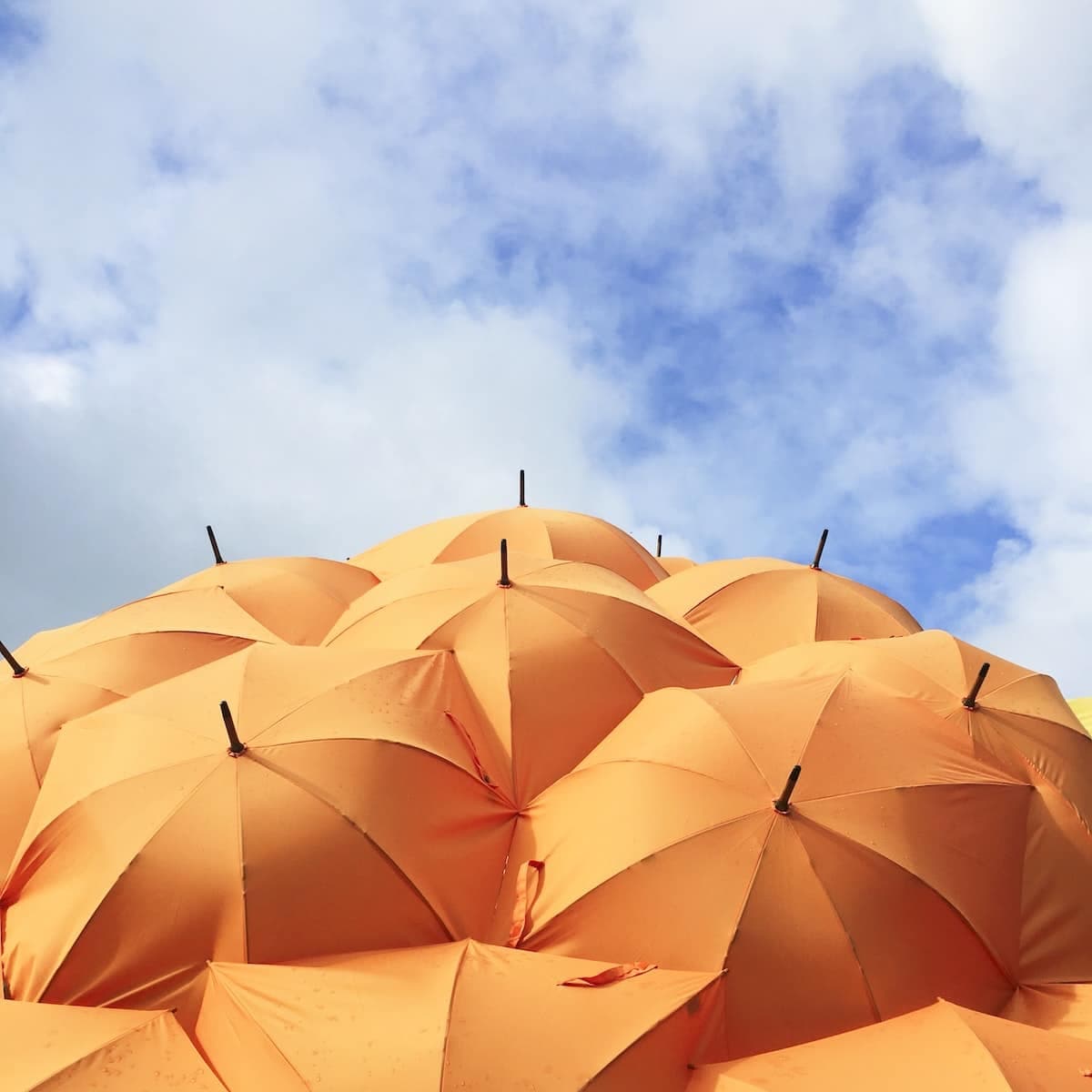 Client Money Protection Scheme